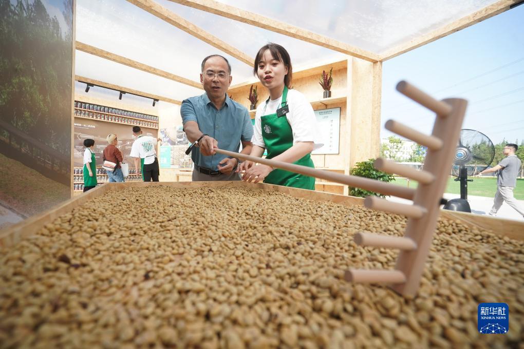乐玩免费下载